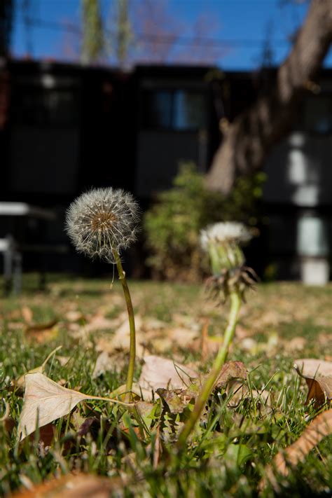 Landscape Perspective – Abby K. Simmons