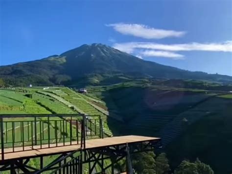 Wisata Sukamakmur Magelang Destinasi Baru Dengan Pemandangan Sawah