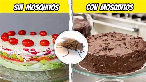 Qué pasaría si los mosquitos desaparecieran del planeta Dato Curioso