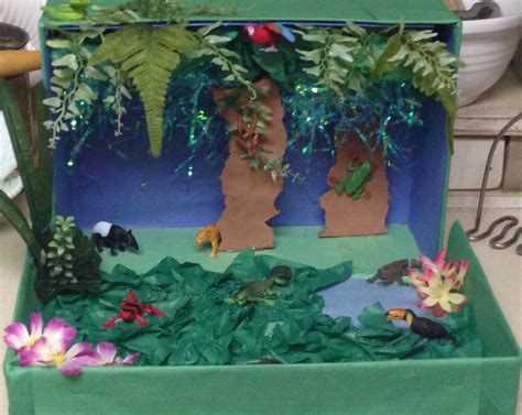 Rainforest Habitat Diorama Artofit