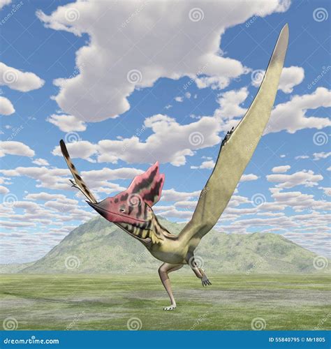 Pterosaur Thalassodromeus Stock Illustration Illustration Of