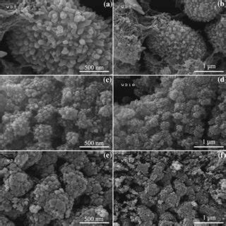 Sem Images Of The As Synthesized Cis A B In Presence Of Water Sample