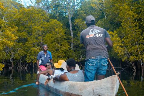 Blaue Safari Schnorcheln Im Watamu Marine Park Meeresfr Chte