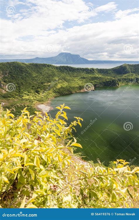crater  taal volcano stock photo image  foliage