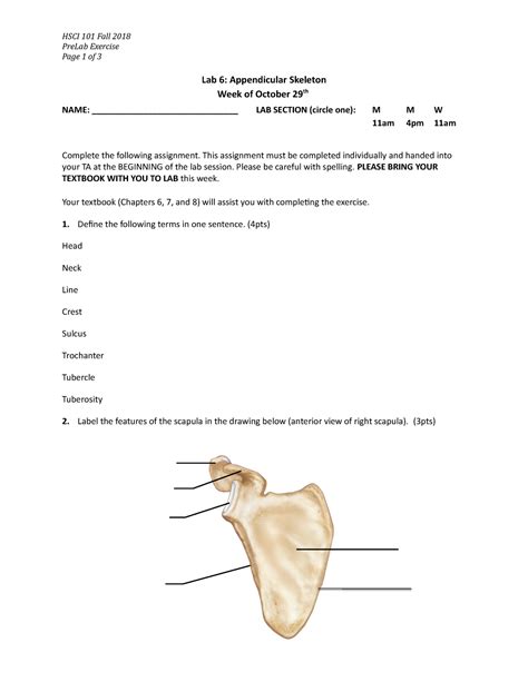 6 Pre Lab Appendicular Skeleton Hsci 101 Fall 2018prelab Exercise Page 1 Of 3 Lab 6