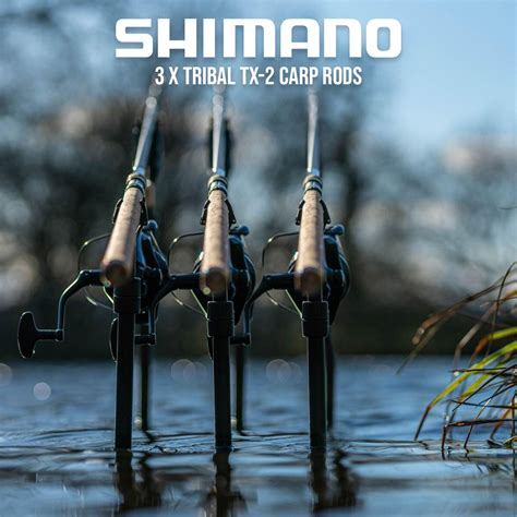 3 X Shimano Tribal Tx 2 Carp Rods Paragon Competitions