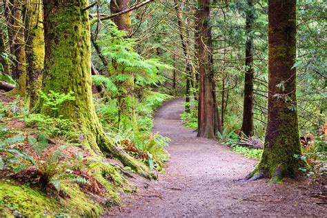 13 Best Hikes on the Oregon Coast | PlanetWare