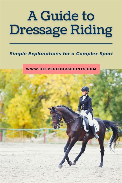 The Roots Of Dressage Trace Back To The Renaissance But Its Origins