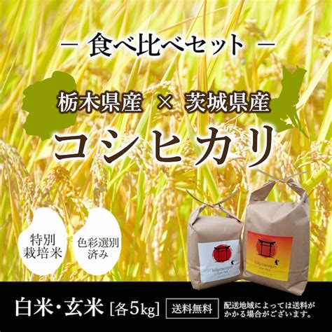 栃木産コシヒカリvs茨城産コシヒカリ食べ比べセット 令和5年度産 各5kg 計10kg 米問屋 彦左衛門商店