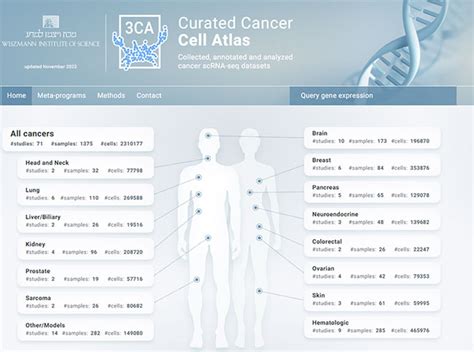 The Curated Cancer Cell Atlas A Comprehensive Pan Cancer Single Cell Rna Sequencing Dataset