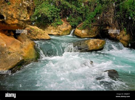 Riserva Naturale Del Medio Torrente Immagini E Fotografie Stock Ad Alta