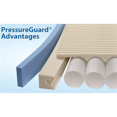 Pressureguard Easy Air Xl Buy Low Air Loss Therapy Alternating