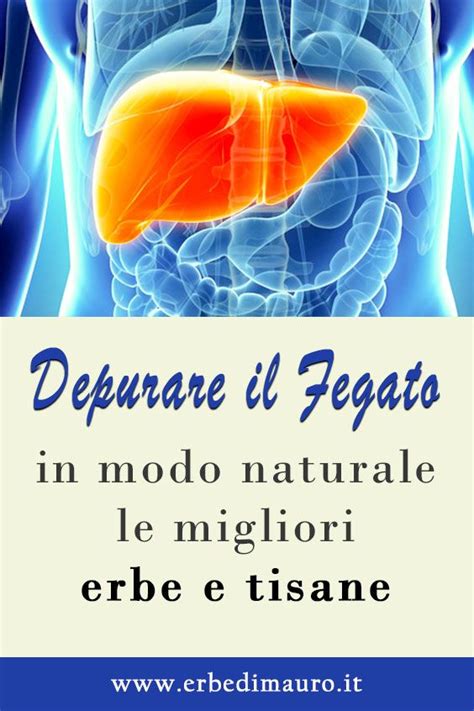 Come Depurare Il Fegato In Modo Naturale Erbe E Tisane Per La Salute