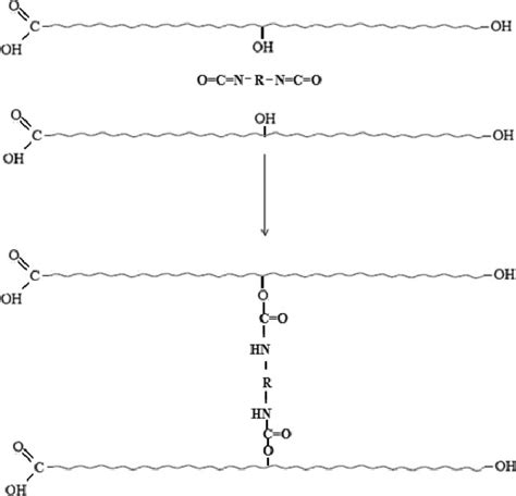 Scheme 2 Reaction Of Polyols With Isocyanates To Form Polyurethanes Download Scientific Diagram