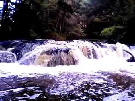 Morrinsville River walk - New Zealand - YouTube