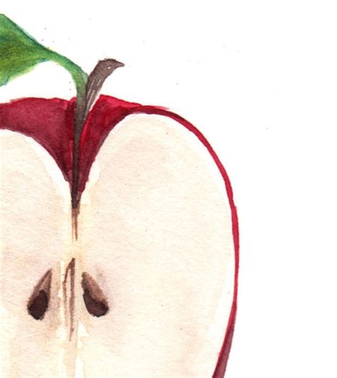 Red Apple Watercolor Painting Food Illustration Manzana - Etsy