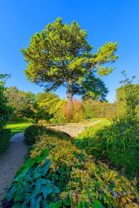 Hidcote Gardens, in the Cotswolds Stock Photo - Image of kingdom, england: 271198724