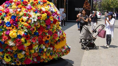 Festival Flores Y Jardines En CDMX No Te Lo Pierdas Uno TV