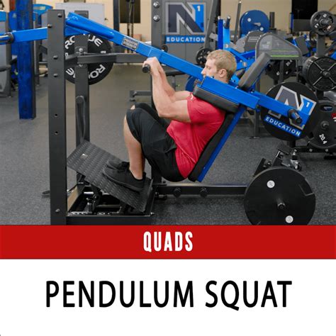 Pendulum Squat N Training