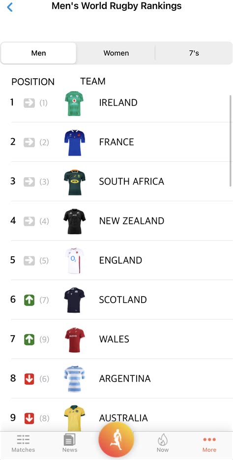 How the final round of the Rugby Championship can impact the World ...