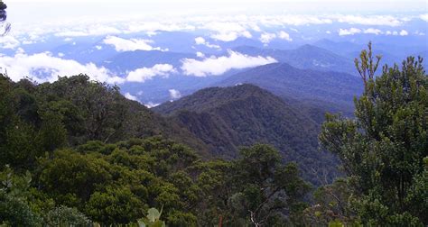 Gn Bukit Raya The Seven Summits Of Indonesia