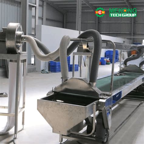 Automatic Cashew Kernel Packing Machine Automatic Cashew Processing