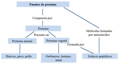 ¿qué Es Un Mapa Conceptual Características Cómo Hacerlo Y Ejemplos 2019 Cuadro Comparativo