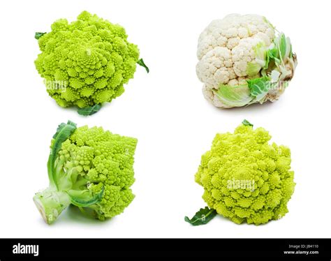 Collection Of Romanesco Broccoli And Cauliflower Isolated On White