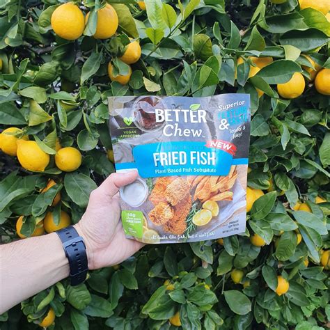 Better Chew Southern Style Fried Fish Reviews Abillion