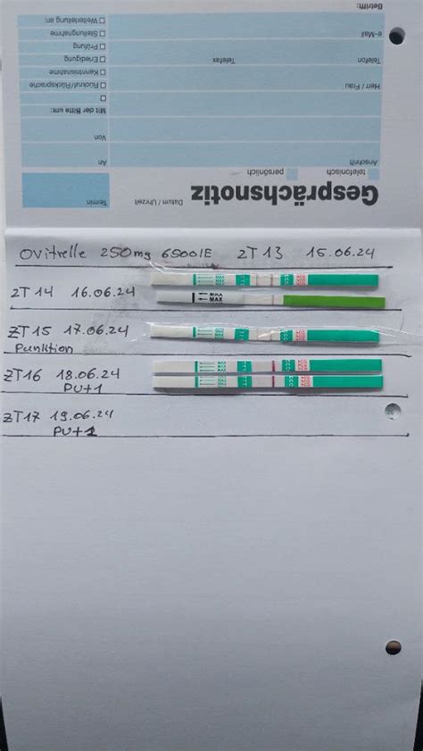 Abbau HCG Ovitrelle Forum Unterstützter Kiwu urbia de