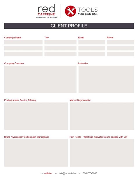 50 Ideal Customer Profile Templates (Word & Excel) ᐅ TemplateLab