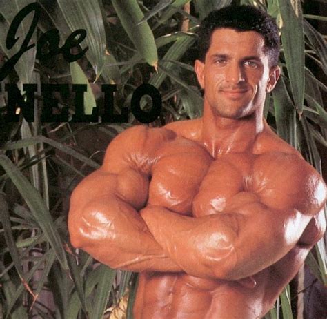 Muscle Lover S Bodybuilder Joe Spinello