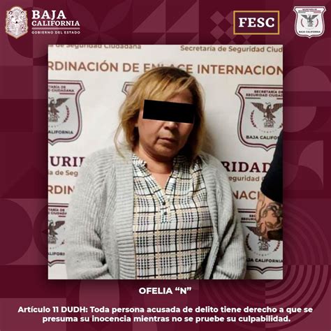 Detiene Fuerza Estatal De Seguridad Ciudadana A Mujer Por El Delito De