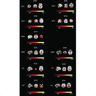 Spatial Maps Of Identified Resting State Networks Are Divided Into