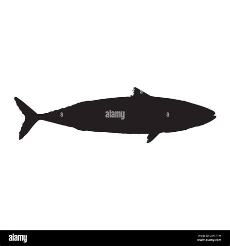 Vector Illustration Of Sardine Fish Silhouette Stock Vector Image And Art