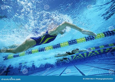 Swimming Team Practicing In Pool Stock Image Image Of Active