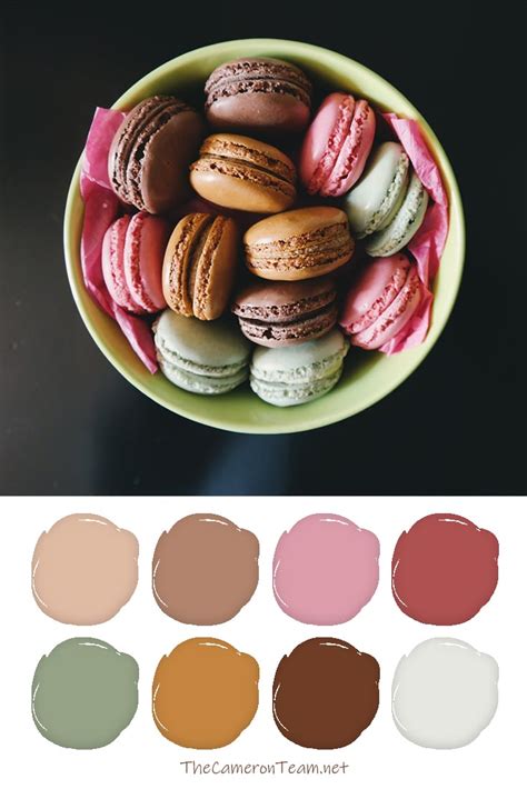 Macaron Paint Color Palette The Cameron Team The Cameron Team