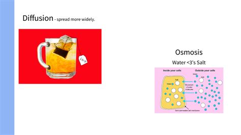 osmolarity and tonicity by Alison Butler on Prezi