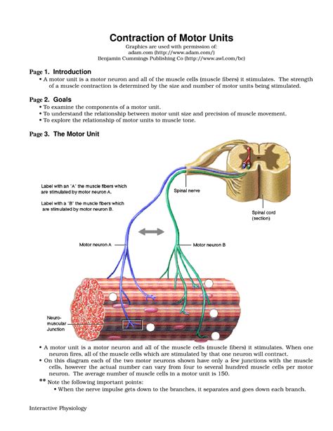 Contraction Motor Units - Cont r act i onofMot orUni t s Gr aphi csar eusedwi t hper mi ssi onof ...