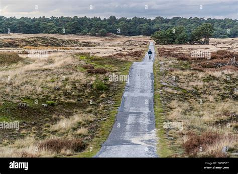 In The Hoge Veluwe National Park Endless Expanses And Smart Bike Paths