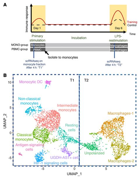 Single Cell Expression Atlas And Cluster Annotations In Monocytes And