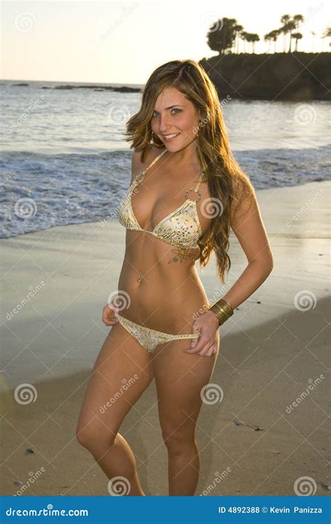 Femme De Sourire De Brunette Sur La Plage Photo Stock Image Du Femme