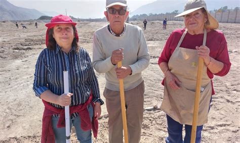 Cultivemos En Comunidad Avanza Proyecto De Huertos Org Nicos En