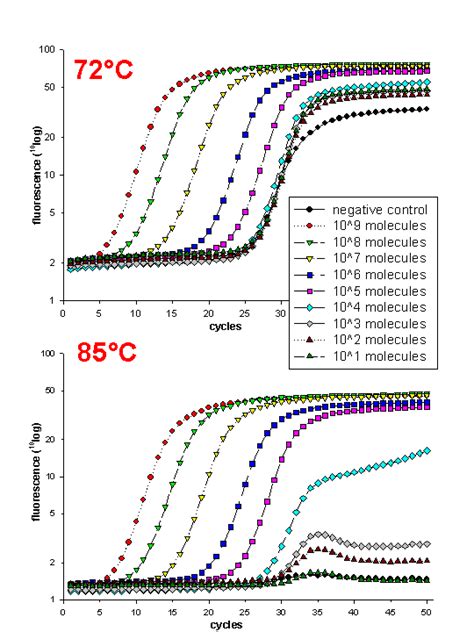 Gene Quantification Optimisation Real Time Kinetic PCR RT PCR