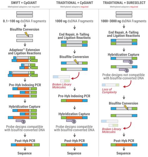 Targeted Sequencing Cpgiant Vs Sureselect Gene Target Solutions