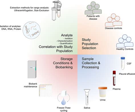 Extrinsic And Intrinsic Preanalytical Variables Affecting Liquid Biopsy