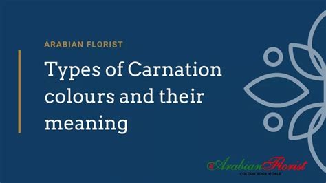 PPT - Types of carnation colors and their meaning PowerPoint ...