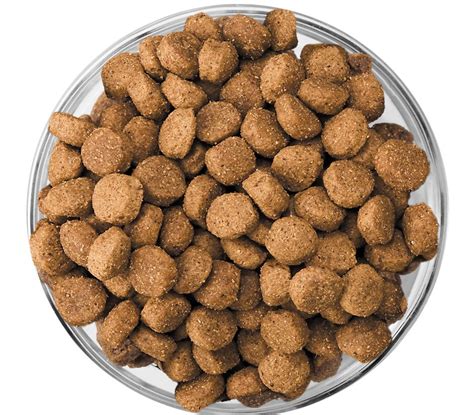 Puppy Large Breed Kibble | Windies Corp