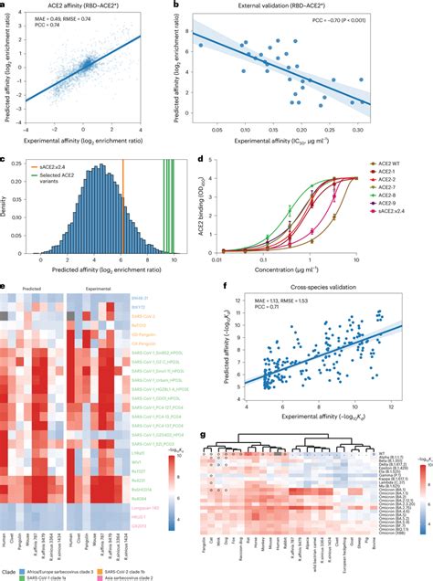 Unibind Performance For Predicting The Binding Affinity Between The