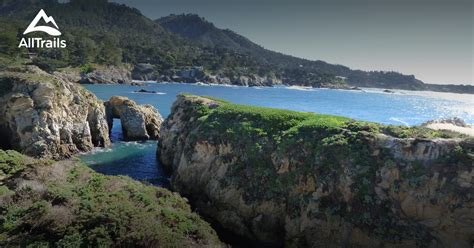 Se Permiten Perros En Point Lobos